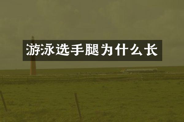 游泳选手腿为什么长