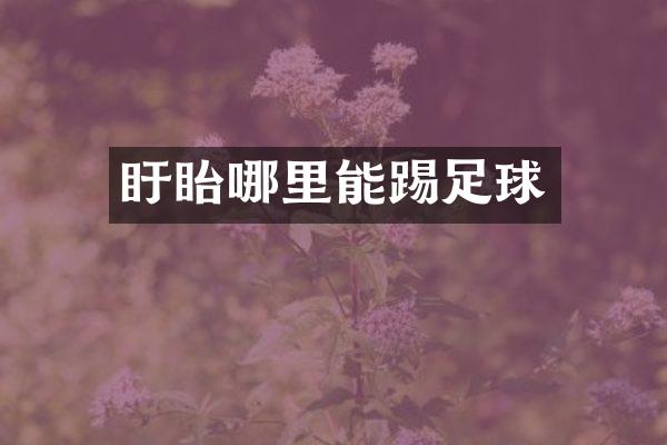 盱眙哪里能踢足球
