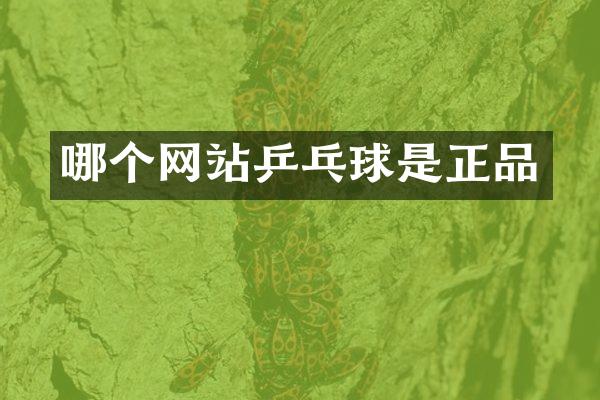 哪个网站乒乓球是正品