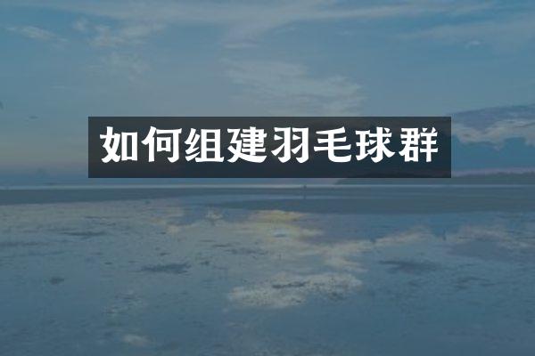 如何组建羽毛球群
