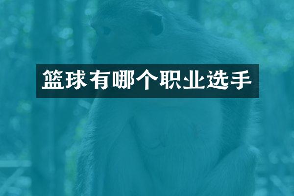 篮球有哪个职业选手