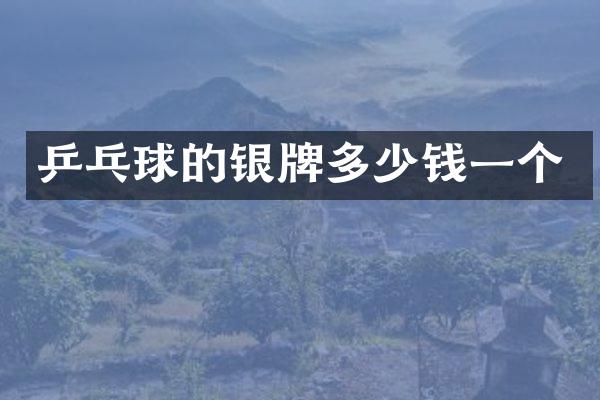 乒乓球的银牌多少钱一个