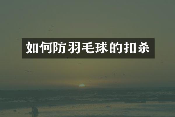 如何防羽毛球的扣杀