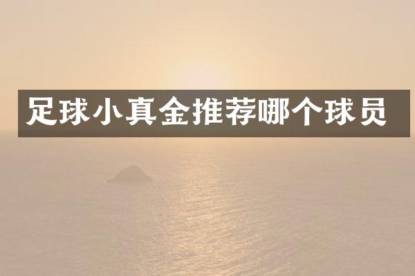 足球小真金推荐哪个球员