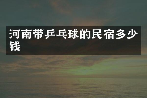 河南带乒乓球的民宿多少钱