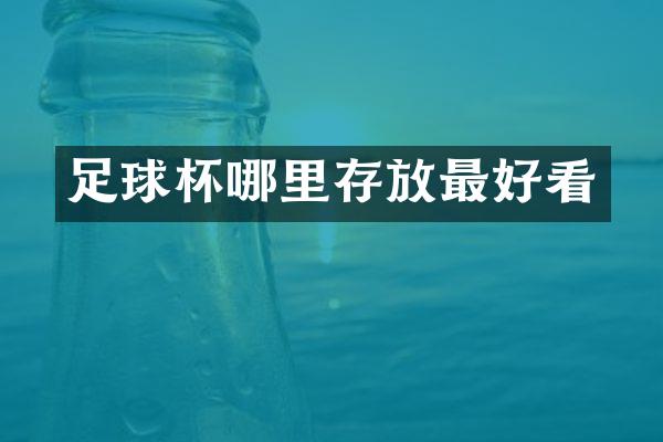 足球杯哪里存放最好看