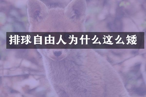 排球自由人为什么这么矮
