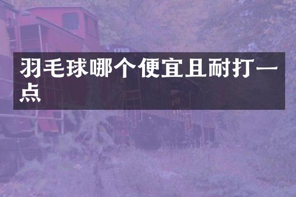 羽毛球哪个便宜且耐打一点