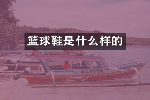 篮球鞋是什么样的