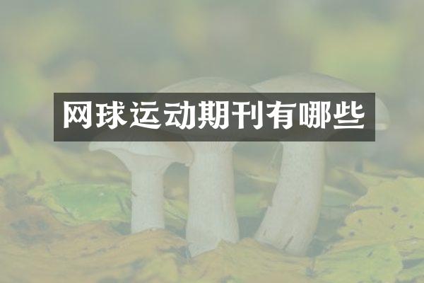 网球运动期刊有哪些