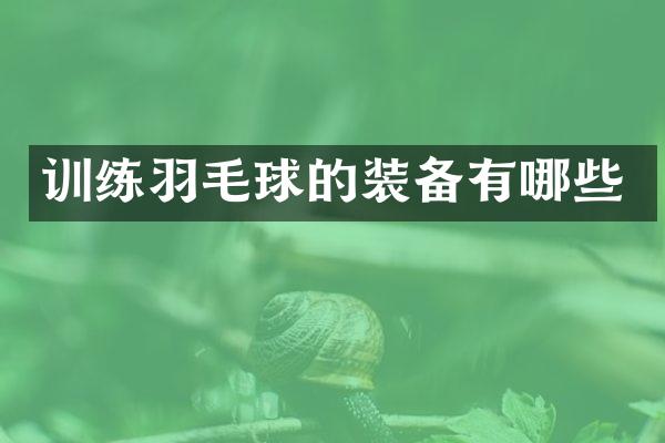 训练羽毛球的装备有哪些