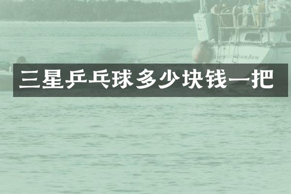 三星乒乓球多少块钱一把