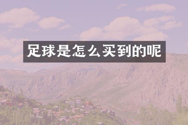 足球是怎么买到的呢