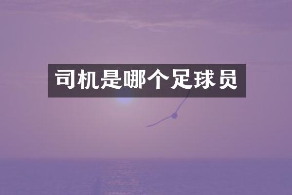 司机是哪个足球员