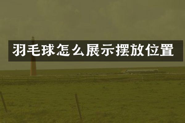 羽毛球怎么展示摆放位置