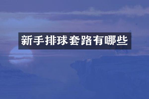 新手排球套路有哪些