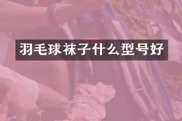 羽毛球袜子什么型号好