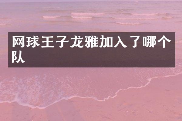 网球王子龙雅加入了哪个队