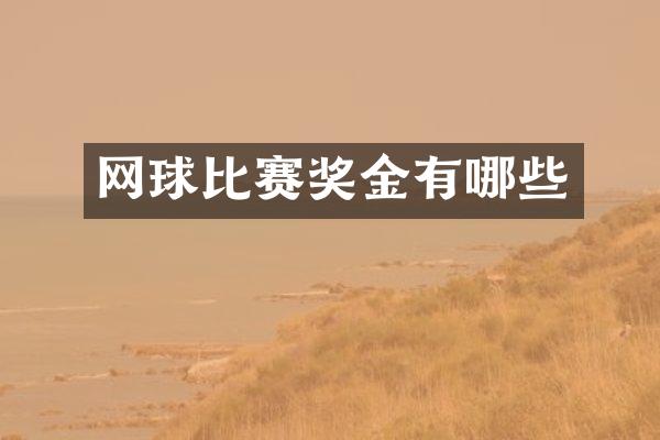 网球比赛奖金有哪些