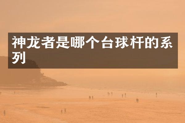 神龙者是哪个台球杆的系列