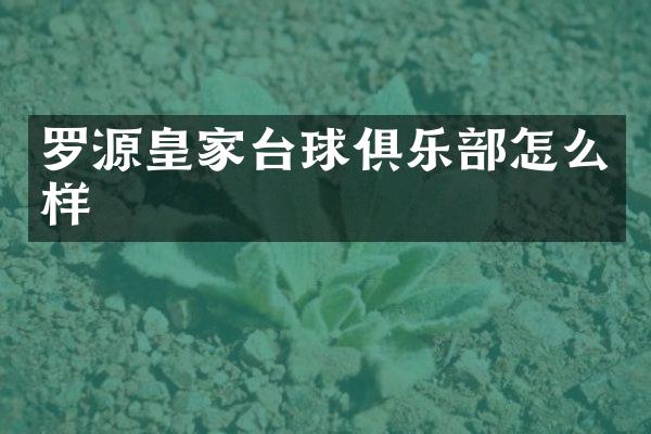 罗源皇家台球俱乐部怎么样