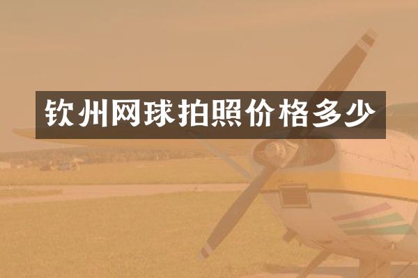 钦州网球拍照价格多少