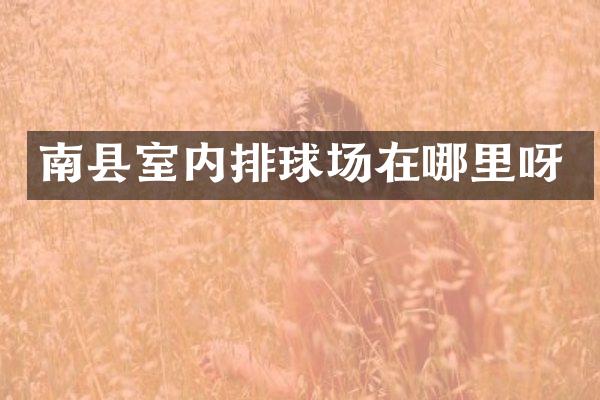 南县室内排球场在哪里呀