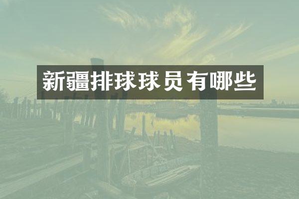 新疆排球球员有哪些