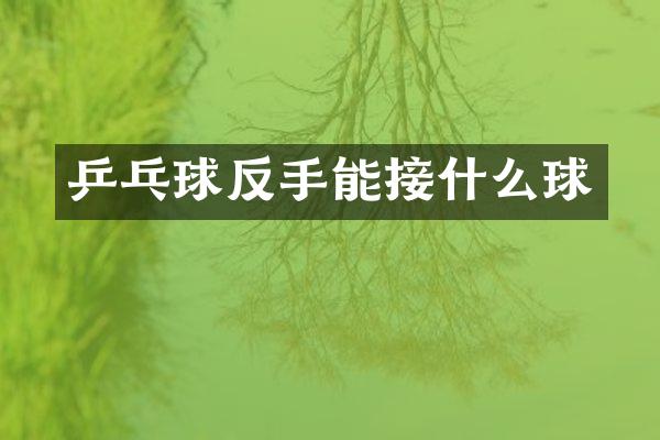 乒乓球反手能接什么球