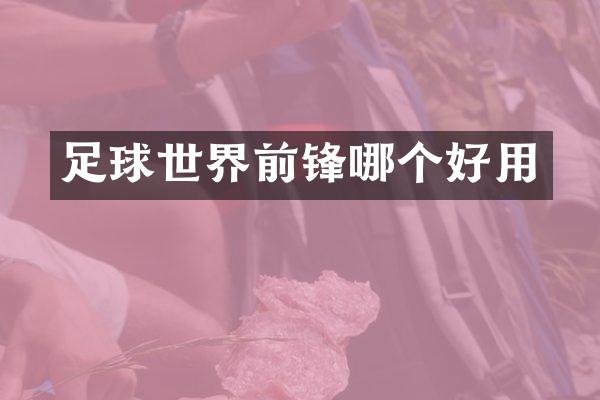 足球世界前锋哪个好用