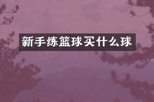 新手练篮球球