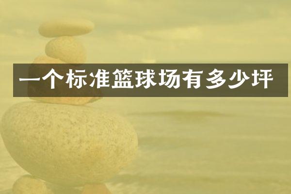 一个标准篮球场有多少坪