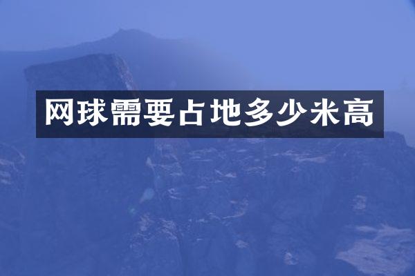 网球需要占地多少米高