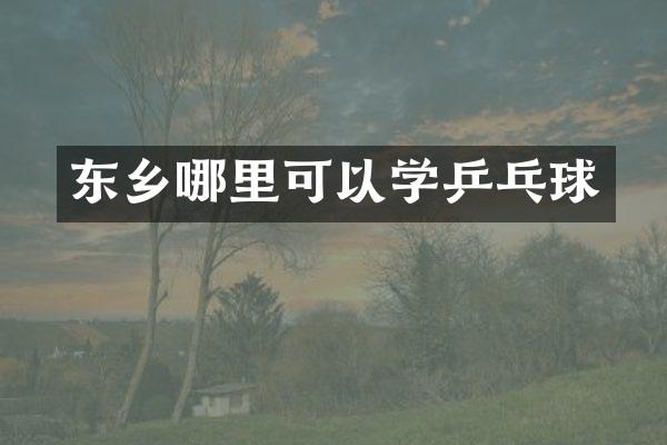 东乡哪里可以学乒乓球