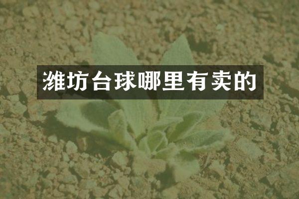 潍坊台球哪里有卖的