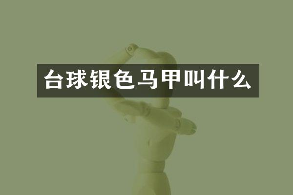 台球银色马甲叫什么