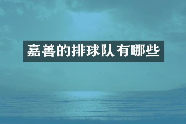 嘉善的排球队有哪些