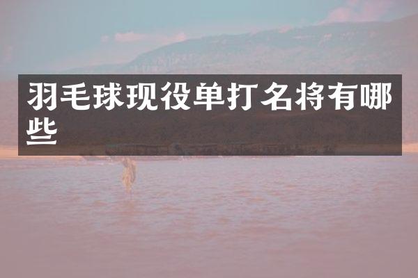 羽毛球现役单打名将有哪些