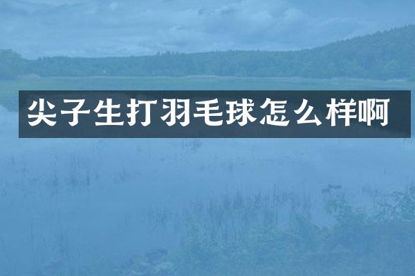 尖子生打羽毛球怎么样啊