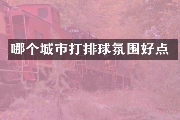 哪个城市打排球氛围好点