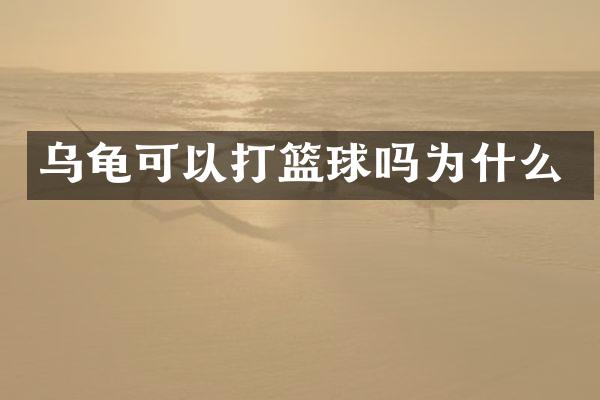 乌龟可以打篮球吗为什么