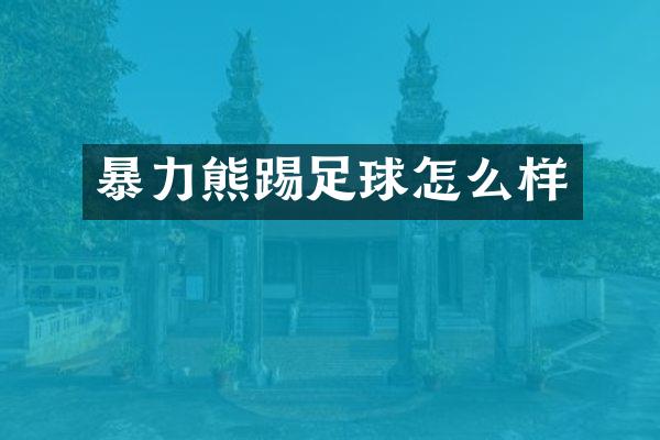 暴力熊踢足球怎么样
