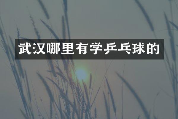 武汉哪里有学乒乓球的
