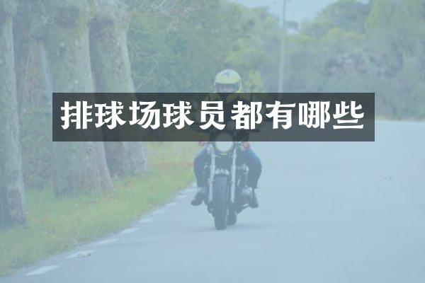 排球场球员都有哪些