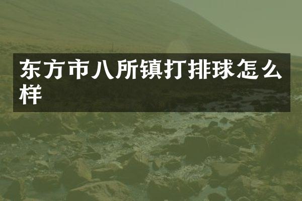 东方市八所镇打排球怎么样