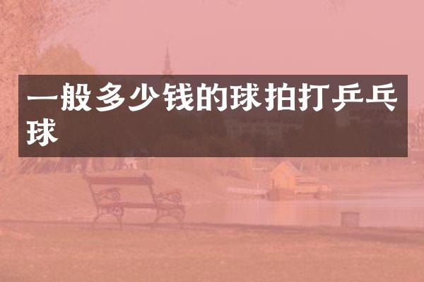 一般多少钱的球拍打乒乓球