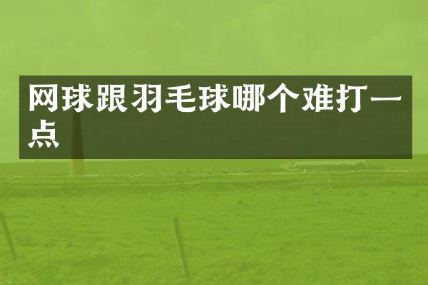 网球跟羽毛球哪个难打一点