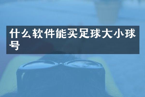 什么软件能买足球大小球号