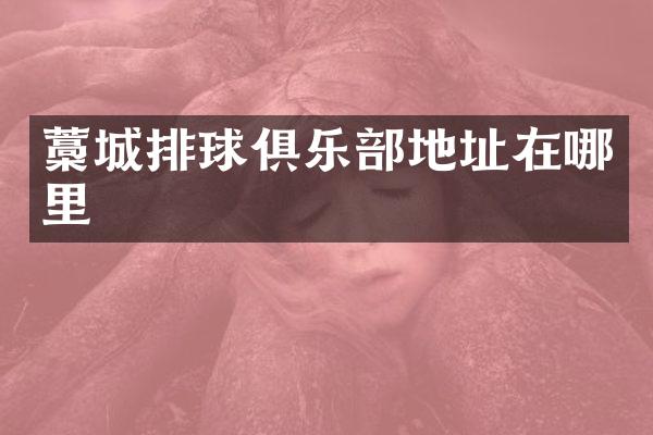 藁城排球俱乐部地址在哪里