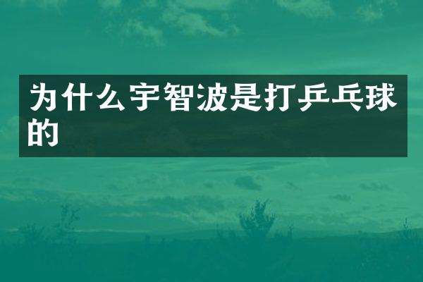 为什么宇智波是打乒乓球的